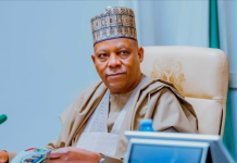 Shettima @60th: Your Strategic Loyalty, Patient Advance President Tinubu Hopes Agenda For Better Nigeria, Musa Illiyasu Kwankwaso